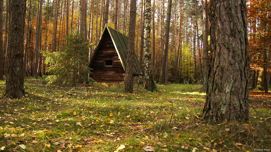 Märchenhütte Wald